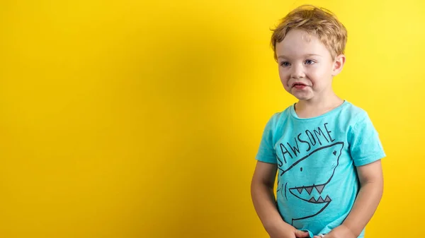 Adorabile piccolo ragazzo di tre anni con espressione viso carino — Foto Stock