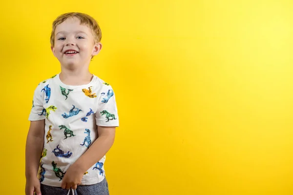 Adorabile piccolo ragazzo di tre anni con espressione viso carino — Foto Stock