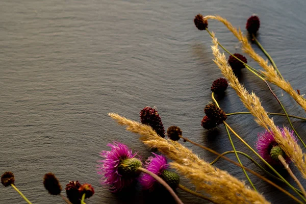 乾燥した草原の草、花や花びらが黒いテクスチャの背景に横たわって — ストック写真