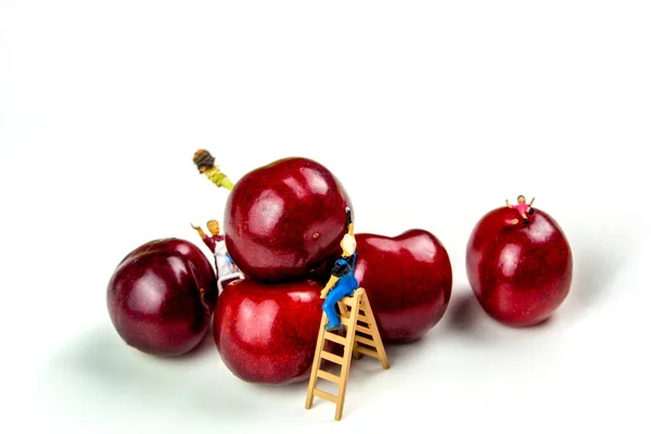 Coleção Muitas Cerejas Taças Cerâmica Branca Sobre Fundo Branco Isolado — Fotografia de Stock