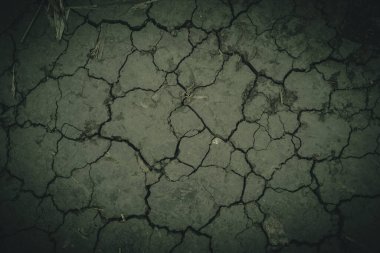 Koyu yeşil karamsar atmosferli çatlaklara sahip toprak gibi kuru çöle yakın.