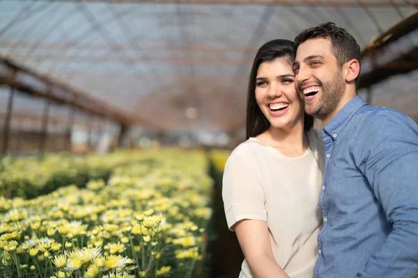 Holambra, Sao Paulo, Brezilya serada aşk biraz üzerinde romantik çift