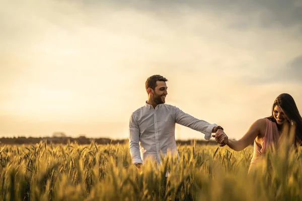 Romantik Çift Altın Buğday Aşk Anda Üzerinde Flied Holambra Sao — Stok fotoğraf