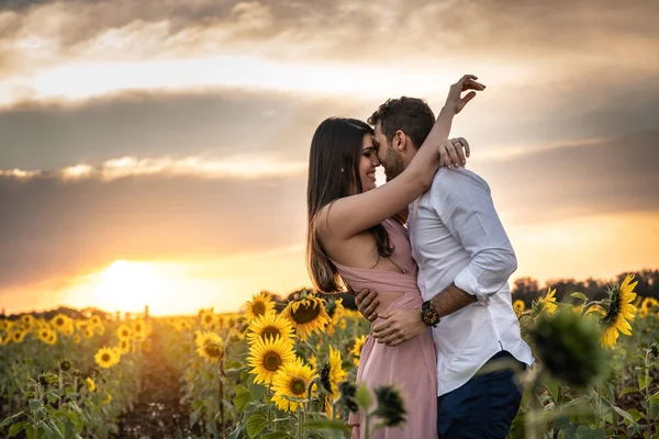 Ayçiçeği Bir Alanda Bir Aşk Romantik Çift — Stok fotoğraf