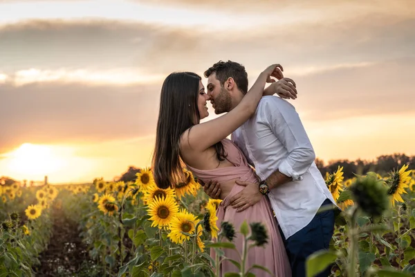 Romantik Çift Aşk Biraz Üzerinde Bir Ayçiçeği Alanında Holambra Sao — Stok fotoğraf