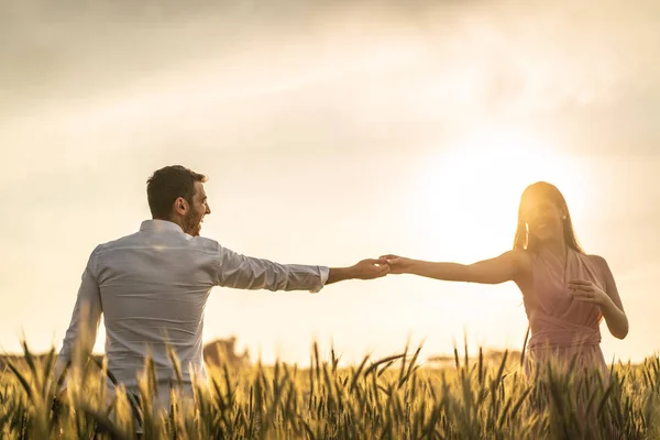 Romantis Pasangan Pada Saat Cinta Ladang Gandum Emas Holambra Sao Stok Foto