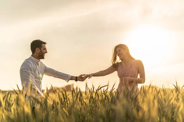 Romantis Pasangan Menjelajahi Ladang Gandum Emas Stok Lukisan  