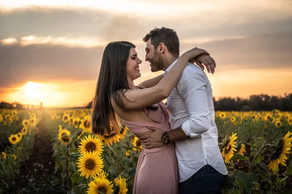 Romantisches Paar Auf Einem Liebesmoment Einem Sonnenblumenfeld Stockbild