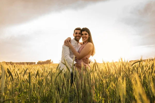 Romantis Pasangan Pada Saat Cinta Ladang Gandum Emas Holambra Sao — Stok Foto