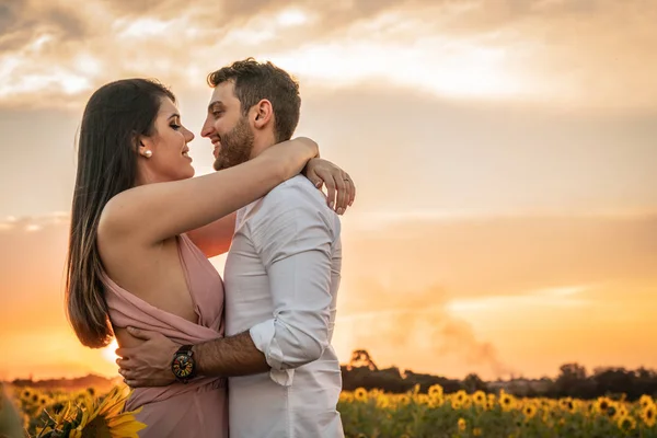 Romantik Çift Aşk Biraz Üzerinde Bir Ayçiçeği Alanında Holambra Sao — Stok fotoğraf