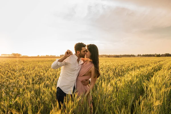 Pareja Romántica Momento Amor Campo Trigo Dorado Holambra Sao Paulo Imagen de stock