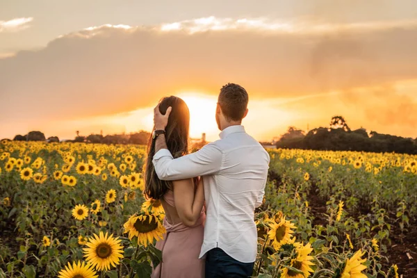 Romantisches Paar Auf Einem Liebesmoment Einem Sonnenblumenfeld lizenzfreie Stockfotos