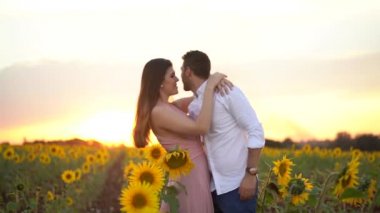 Romantik çift aşk biraz üzerinde bir alanda ayçiçeği - Holambra, Sao Paulo, Brezilya