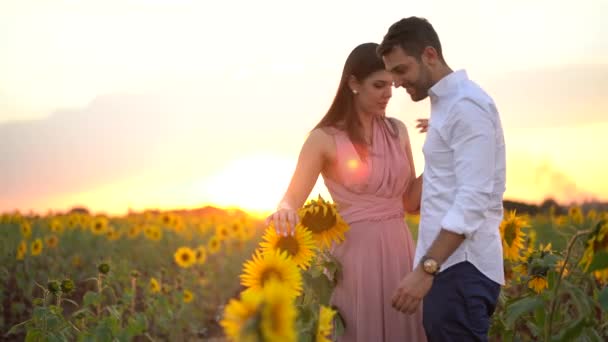 Romantisches Paar Auf Einem Liebesmoment Einem Sonnenblumenfeld — Stockvideo