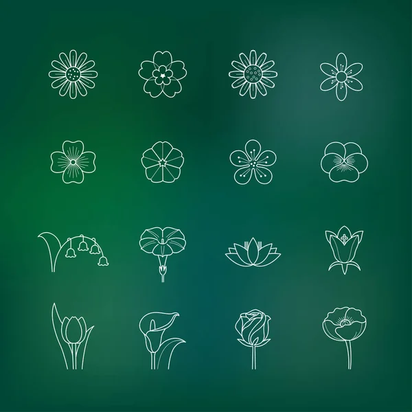 さまざまな種類の花の輪郭アイコンセットのベクトルイラスト 花シンプルな輪郭 — ストックベクタ