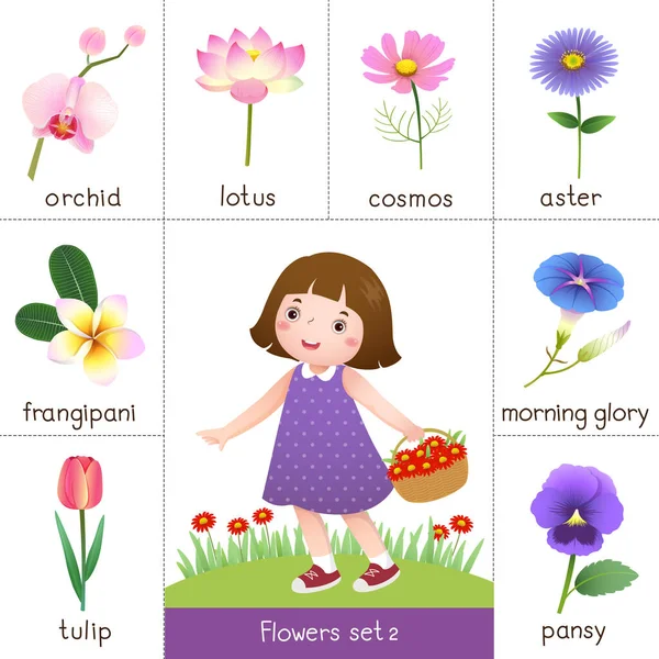 Printable Flash Card Voor Bloemen Kleine Meisje Plukken Bloem — Stockvector