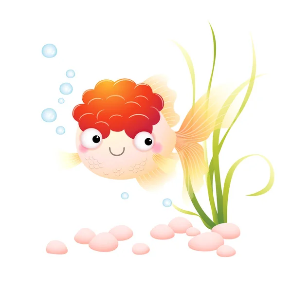 Ilustração Vetorial Bonito Desenho Animado Vermelho Cap Oranda Goldfish Aquário — Vetor de Stock
