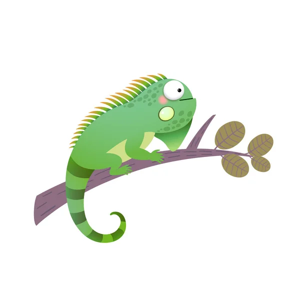Ilustração Vetorial Desenho Animado Iguana Verde Ramo — Vetor de Stock