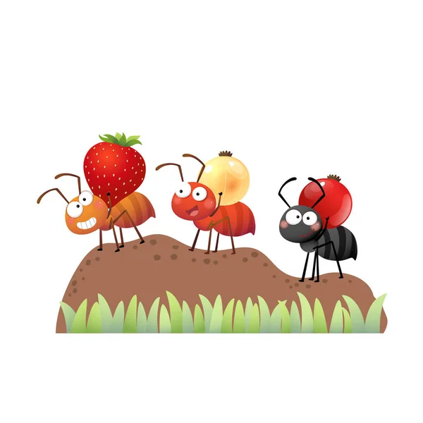 一个卡通蚂蚁群的病媒图解 蚂蚁群携带浆果 在一堆土地上走到蚁穴 — 图库矢量图片