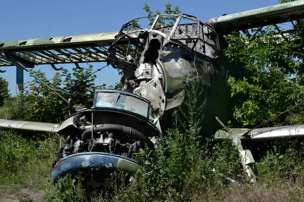 緑の茂みの中の古い墜落した飛行機 — ストック写真