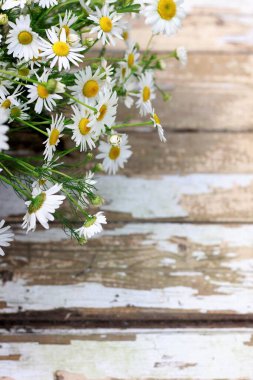 Meyve ve sebzeli modern yaşam