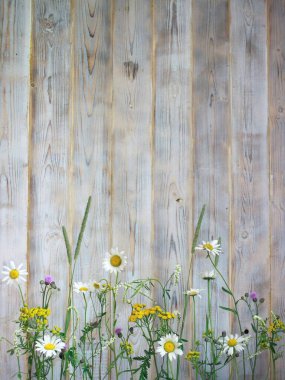Açık arka planda yaz çiçekleri
