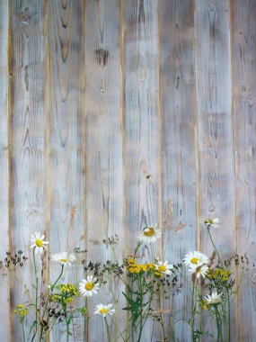 Açık arka planda yaz çiçekleri