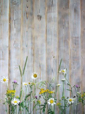 Açık arka planda yaz çiçekleri