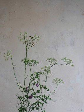 Açık arka planda yaz çiçekleri