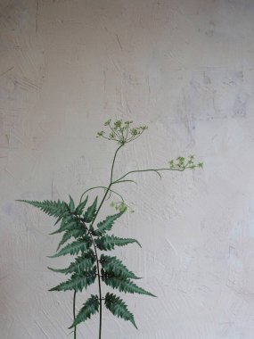 Açık arka planda yaz çiçekleri