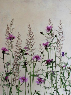 Açık arka planda yaz çiçekleri