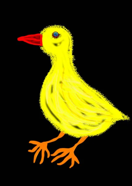 Yellow Bird Red Beak Black Background — Stock Photo, Image