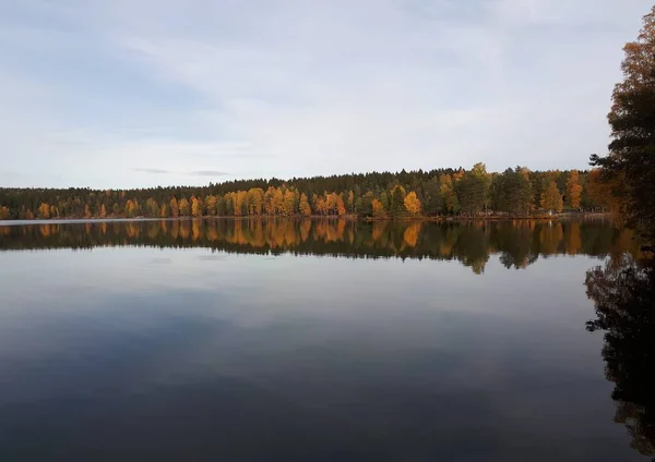 Reflexion Der Bäume Blauem Wasser — Stockfoto