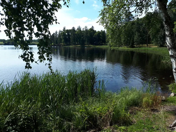 Reflektion Träd Blått Vatten — Stockfoto