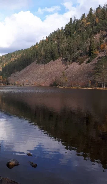 Gökyüzünün yansıması ve mavi sudaki ağaçlar