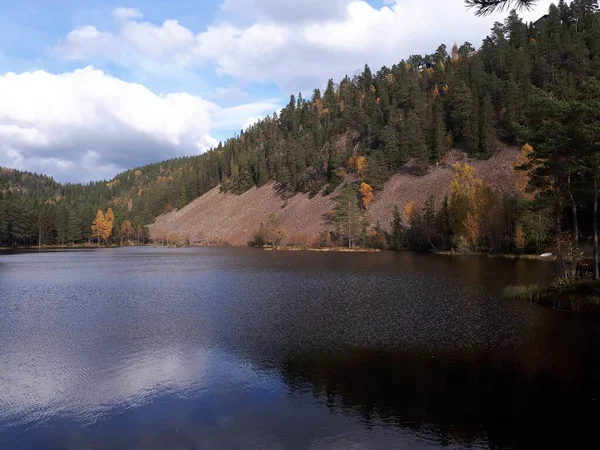 Spiegelung Des Himmels Und Der Bäume Blauen Wasser — Stockfoto