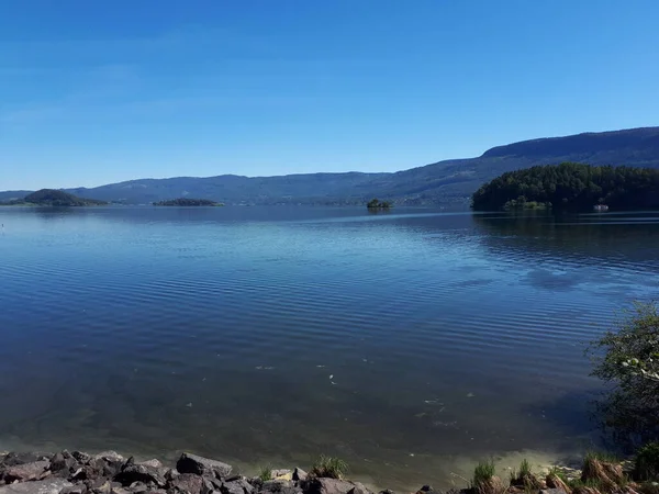 Spiegelung Des Himmels Und Der Bäume Blauen Wasser — Stockfoto