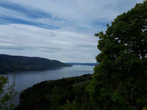 Lansekap Dengan Pohon Dengan Latar Belakang Dari Fjord Biru — Stok Foto