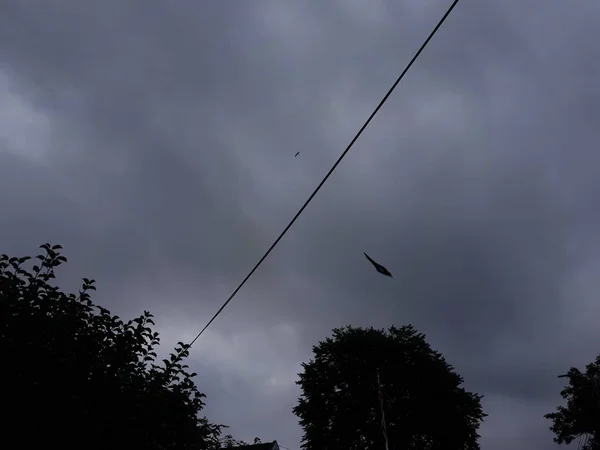 Bulutlu Gökyüzünde Kuşların Siluetleri — Stok fotoğraf