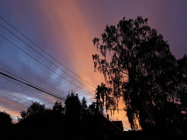 Silhouetten Van Bomen Tegen Achtergrond Van Rijzende Zon — Stockfoto