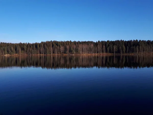 Gökyüzünün Yansıması Mavi Sudaki Ağaçlar Oslo Sognsvann Gölü — Stok fotoğraf