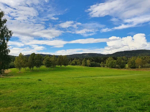 Błękitne Niebo Nad Drzewami Zielonej Łące Bogstad Grd — Zdjęcie stockowe