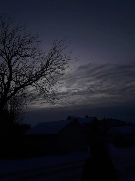 Silueta Árbol Con Ramas Contra Cielo Oscuro Bod — Foto de Stock