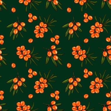 Böğürtlen ve deniz dikenli dallarla kusursuz bir desen. Yeşil arka planda deniz dikenleri. Modaya uygun tekstil, kumaş, ambalaj.