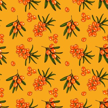 Böğürtlen ve deniz dikenli dallarla kusursuz bir desen. Sarı arka planda deniz dikenleri. Modaya uygun tekstil, kumaş, ambalaj.