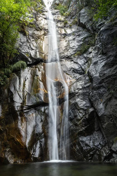 Waterfall with silky water on fine stone in the middle of a high mountain forest during the day. Vertical image.