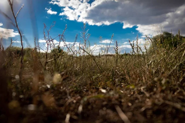Gökyüzünün fotoğrafı ve çimenlerin üzerinde güzel bulutlar.