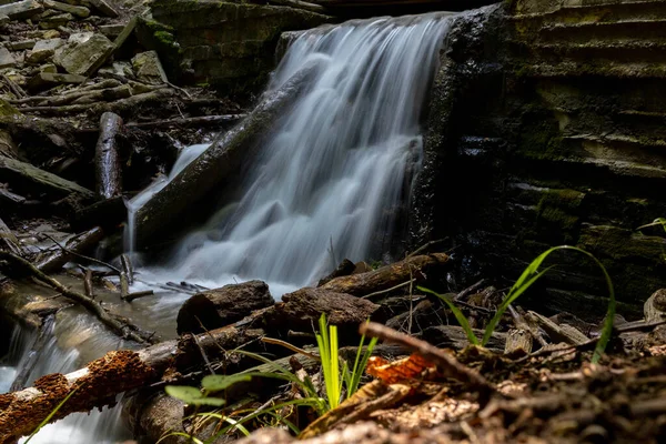 Ormanda küçük bir şelale