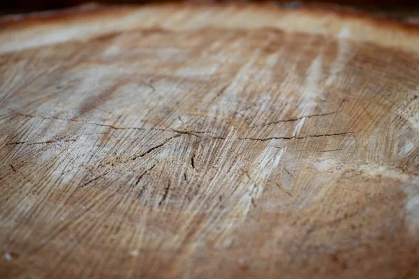 Kesik bir huş gövdesinin dokusu.