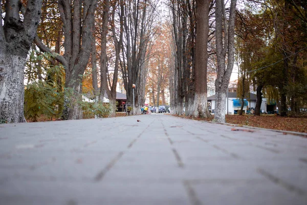 Sonbahar parkında bir sokak.